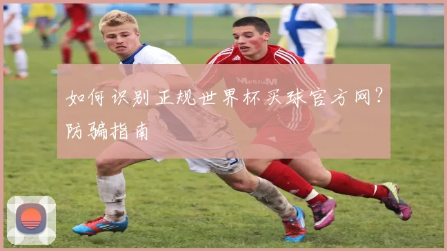 如何识别正规世界杯买球官方网？防骗指南