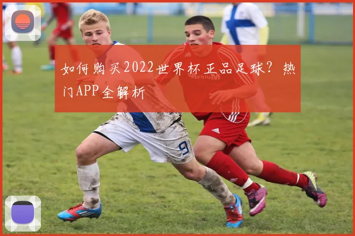 如何购买2022世界杯正品足球？热门APP全解析