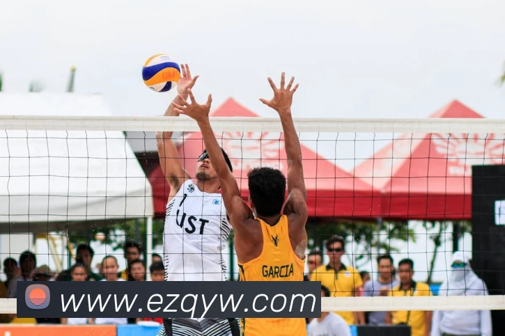 乐竞入口平台生态图